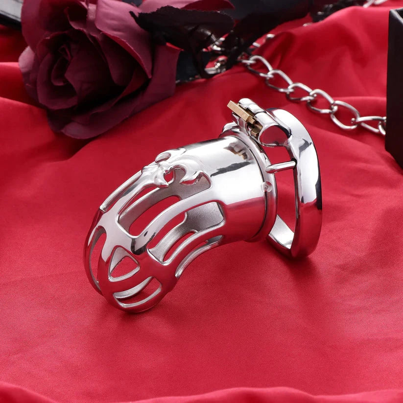 Cages de chasteté pour homme Image