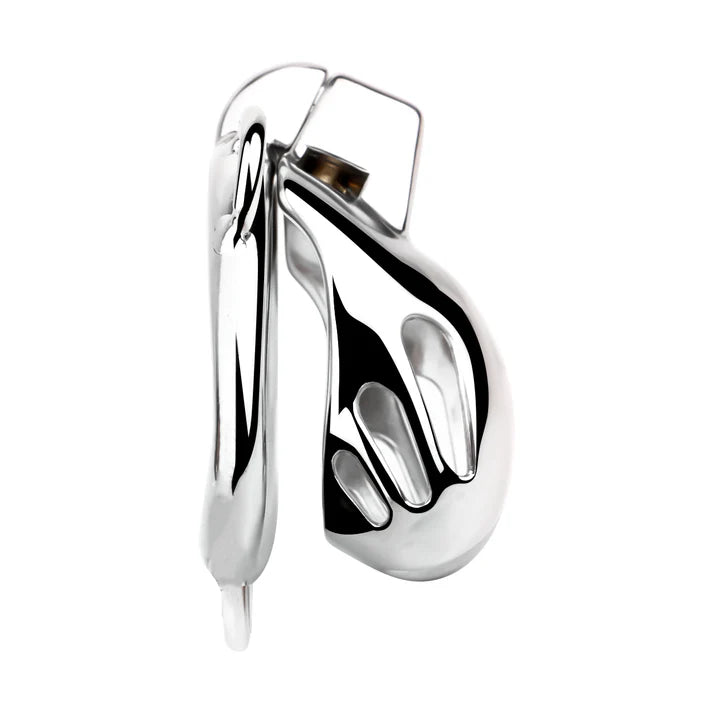 Cage de Chasteté Cobra premium argentée avec Ceinture et plug anal amovible