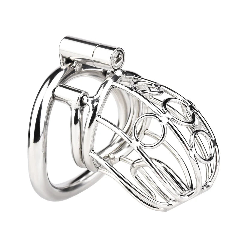cage de chastete prince albert en metal