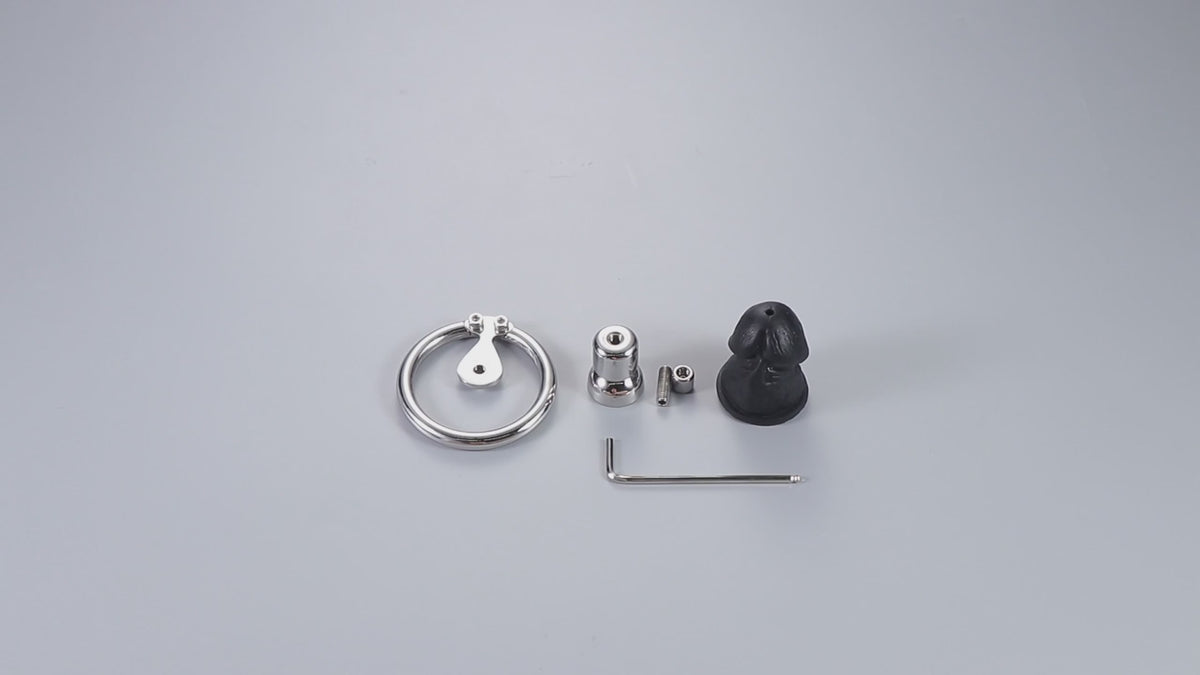 Cage de chasteté inversée en métal avec gode en silicone coloré amovible