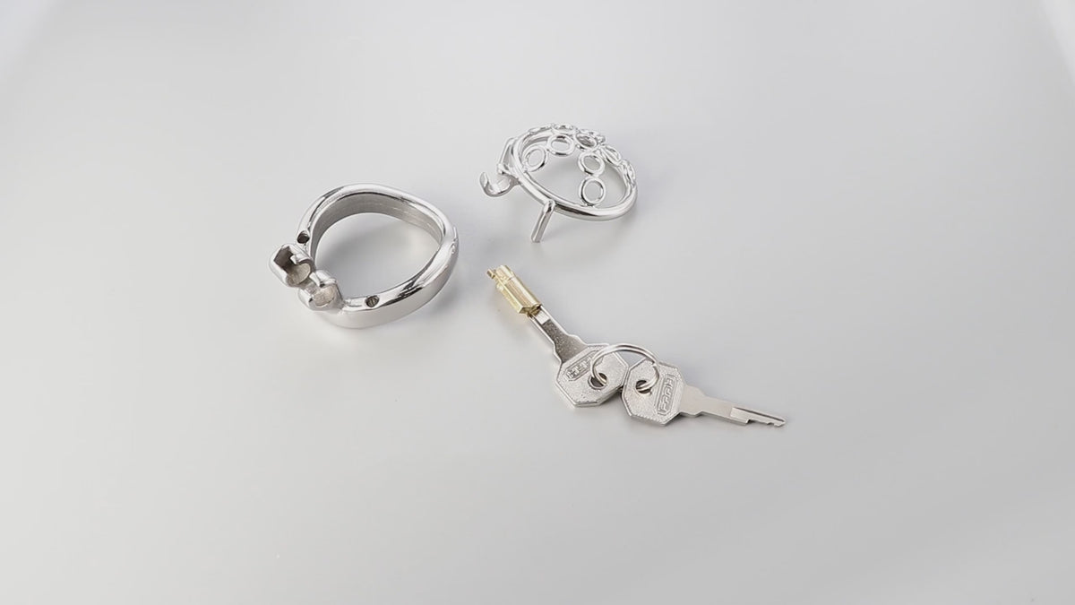 cage de chastete plate anneaux soudes