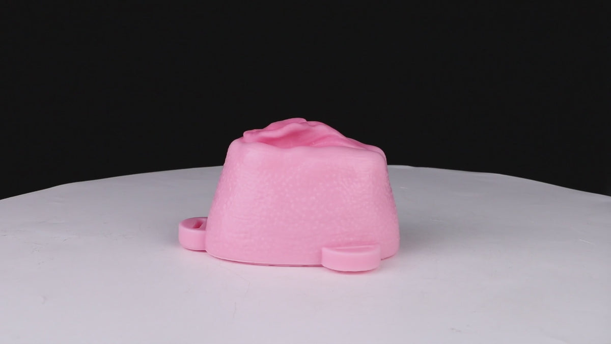 Ceinture de chasteté vagin grandes lèvres en silicone souple
