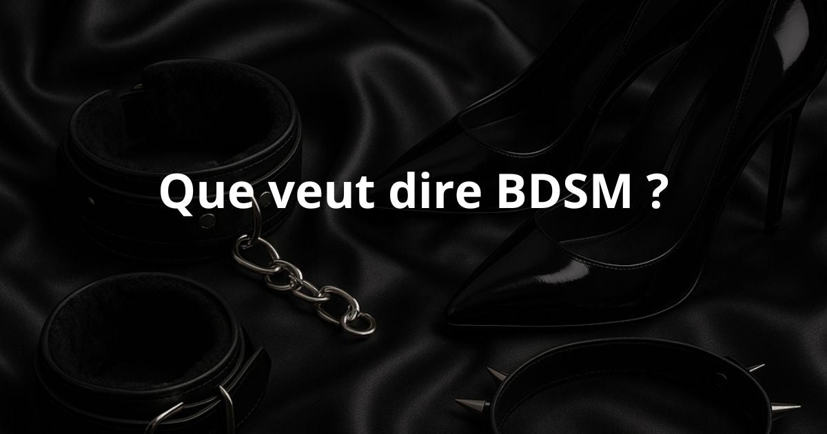 Que veut dire BDSM ?