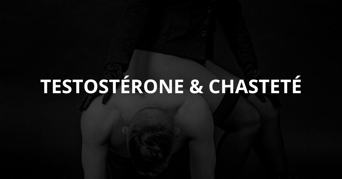 testostérone et chasteté Image