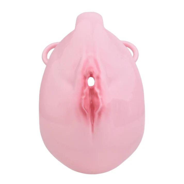 Cage chastete vagin integral rose