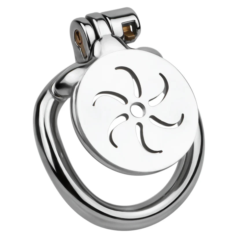 Cage de Chasteté Plate Spirale avec Sonde d'urètre amovible 