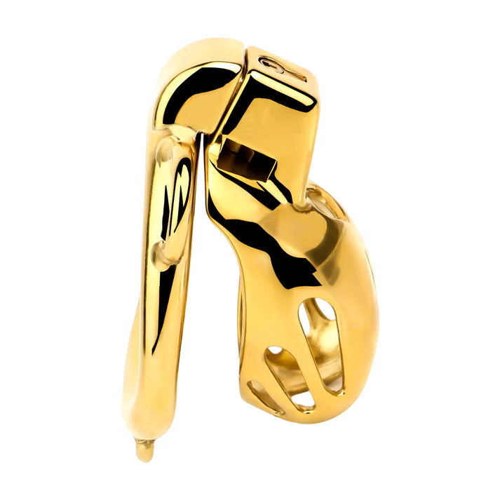 Cage de chasteté premium cobra dorée en métal avec ceinture plug anal amovible