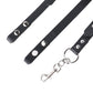 Ceinture de Chasteté Antre du Démon en métal 