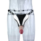 Ceinture de Chasteté Antre du Démon en métal 