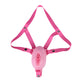 Ceinture de chastete vagin petites levres en silicone souple 