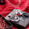 Grande cage de chastete design a vis BDSM