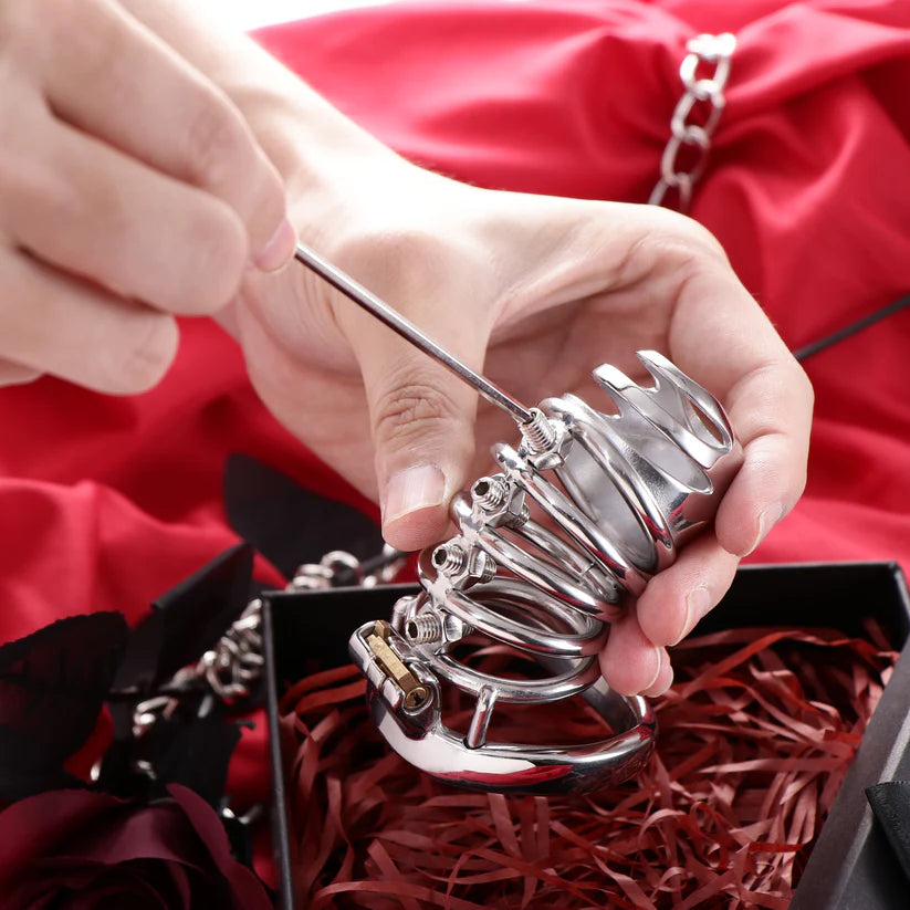 Grande cage de chastete design a vis BDSM kit 2