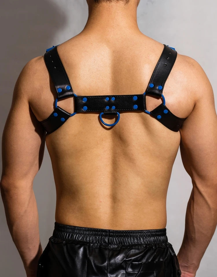 Harnais BDSM Noir et Bleu 