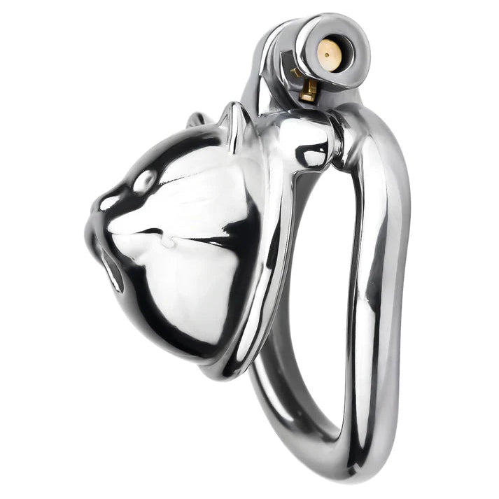 cage chastete metal chat minou argente