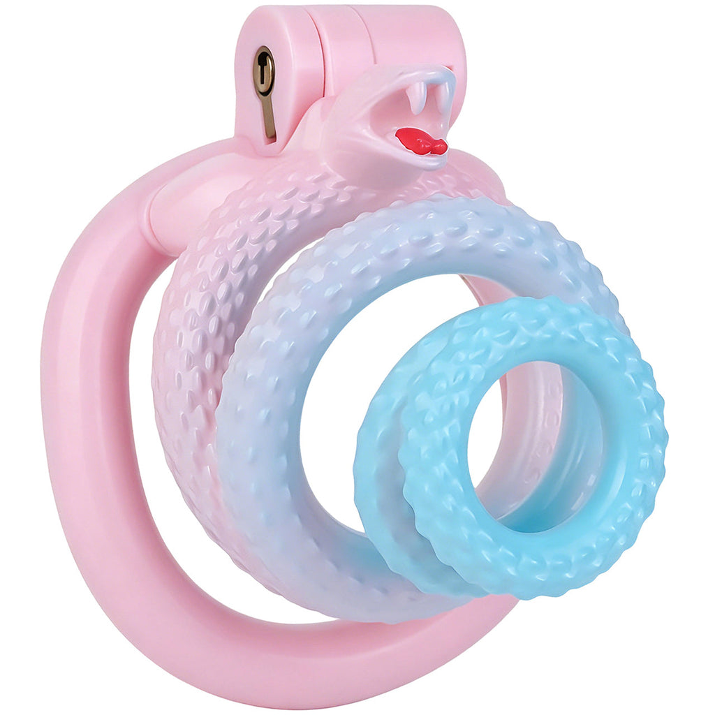 Cage de chasteté Serpent Tentation en résine rose et bleue en forme de serpent enroulé