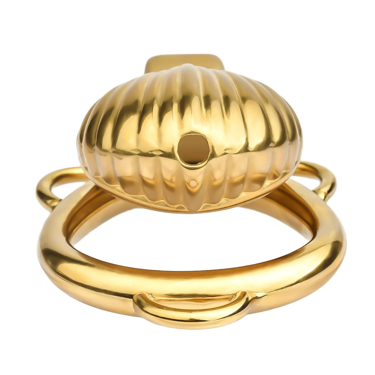 cage de chastete coquillage dore