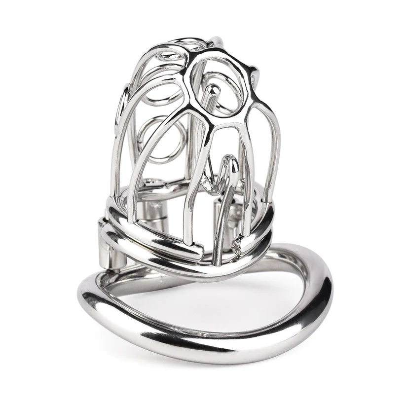 cage de chastete prince albert en metal