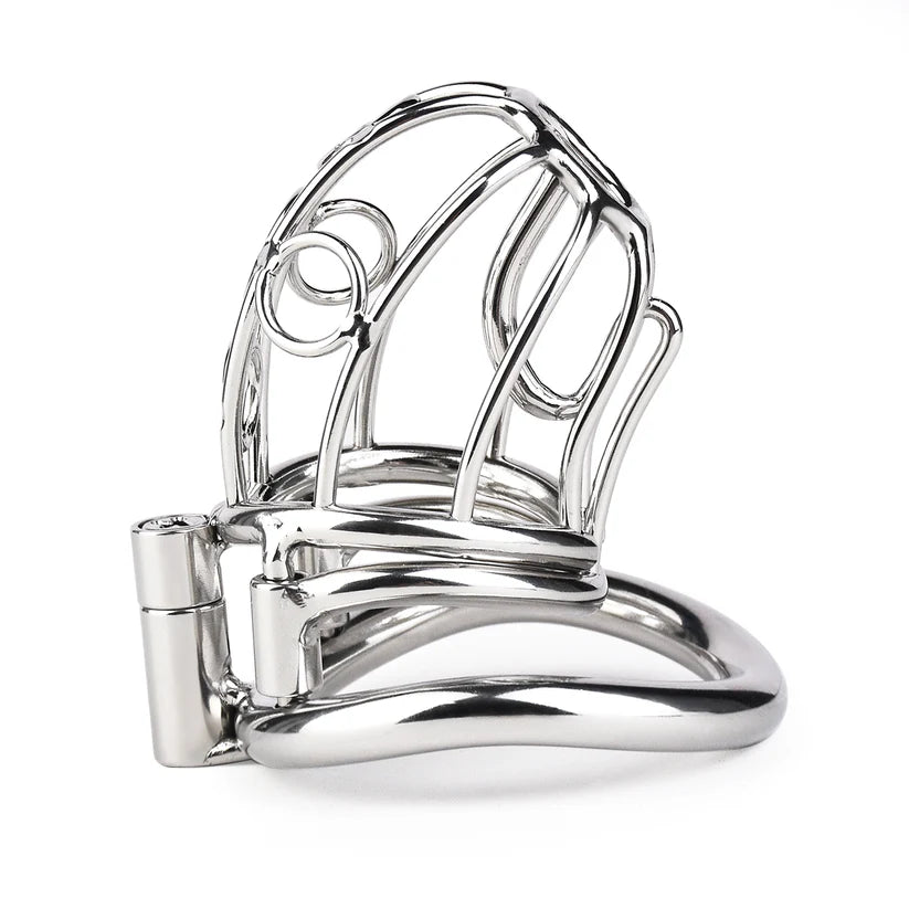 cage de chastete prince albert en metal