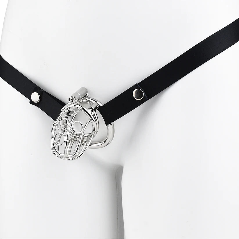 cage de chastete prince albert en metal