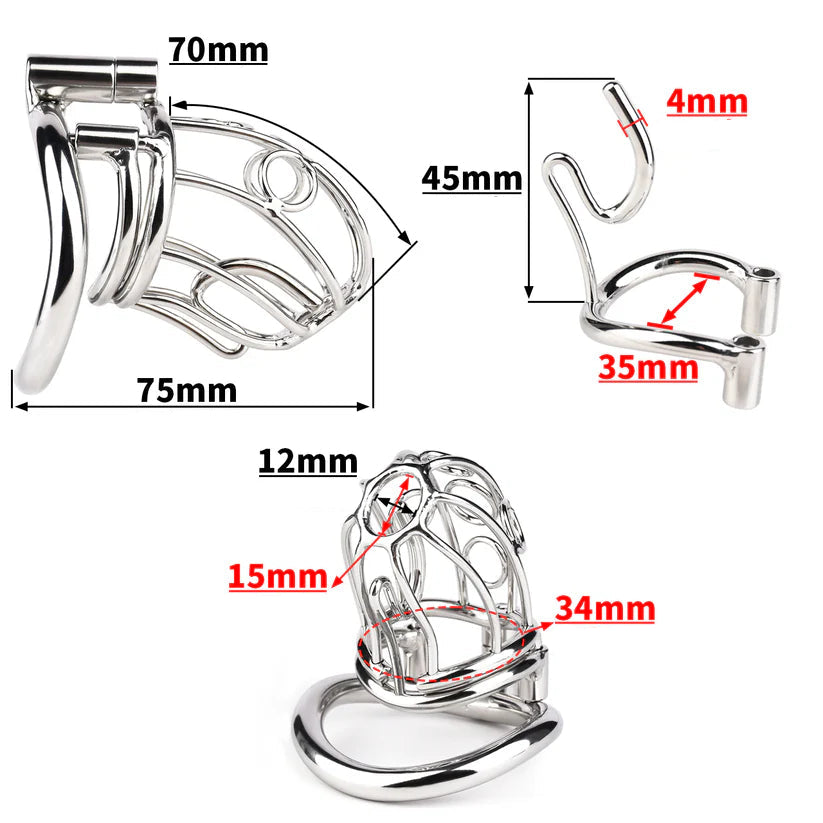 cage de chastete prince albert en metal
