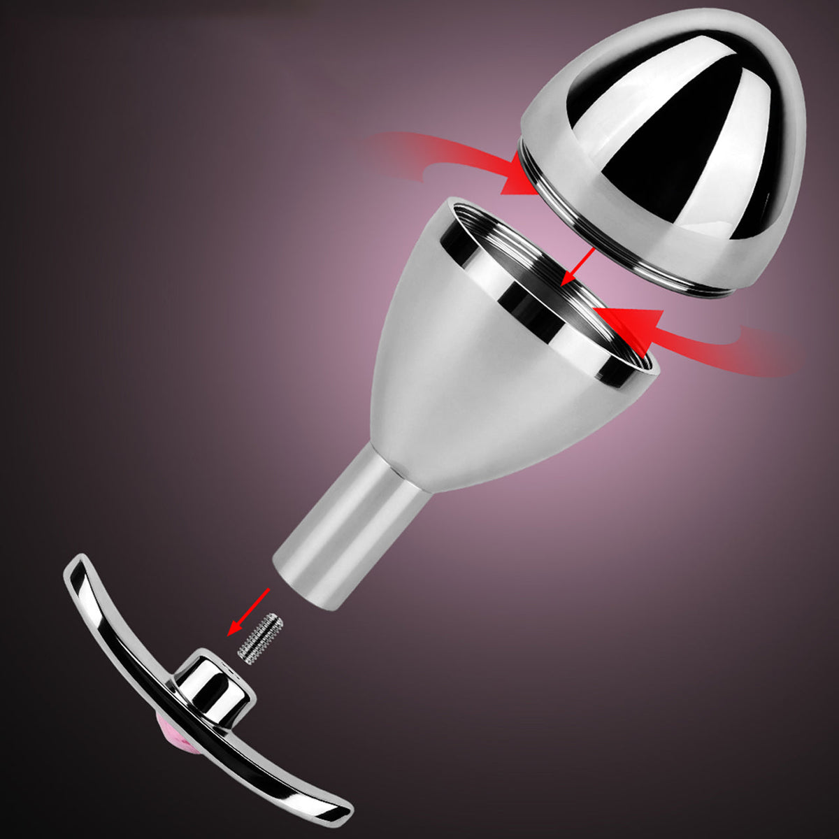 Plug Anal Coffre à Clé en métal avec tête creuse dévissable pour ranger une clé
