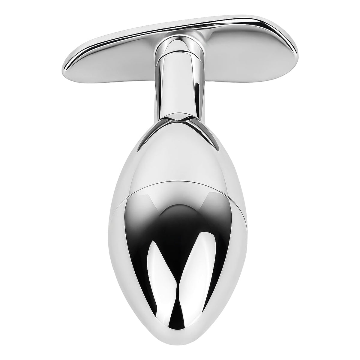 Plug Anal Coffre à Clé en métal avec tête creuse dévissable pour ranger une clé