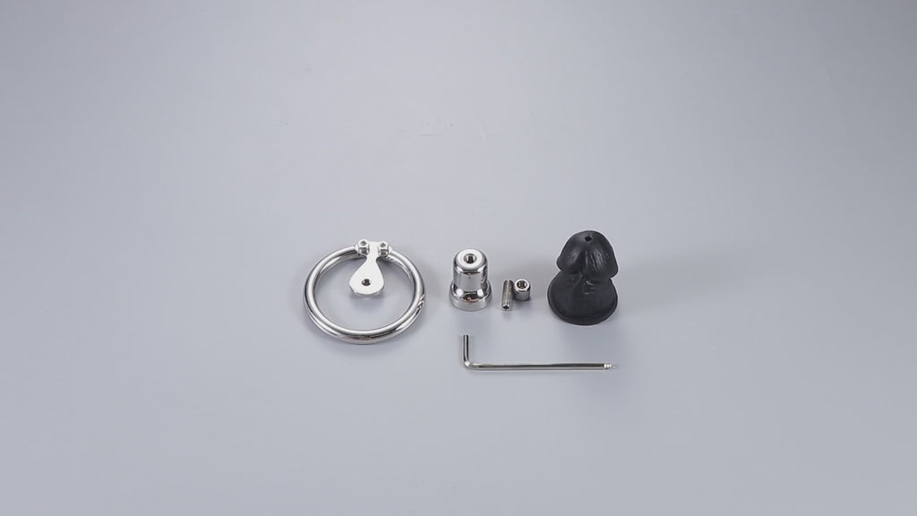 Inverted Metal Chastity Cage with Removable Colored Silicone Dildo